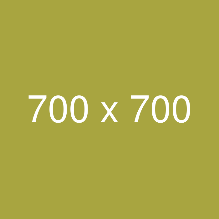 700ピクセル正方形